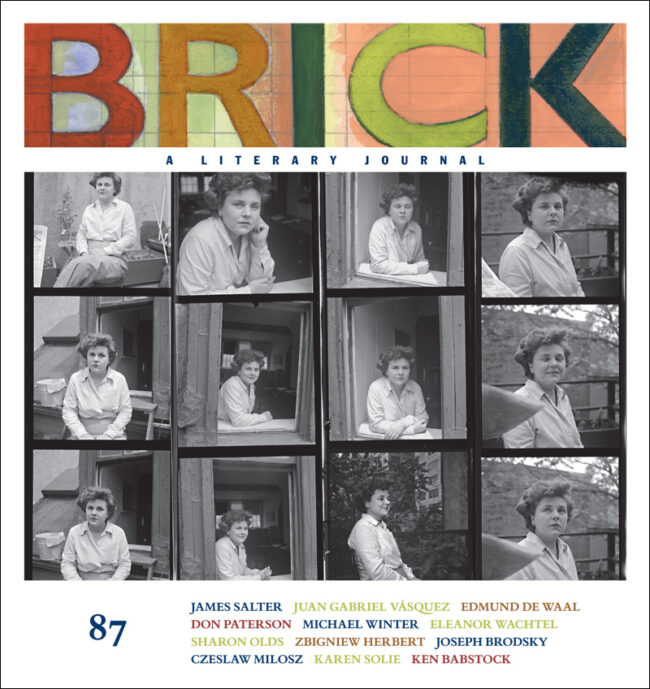 Brick cover