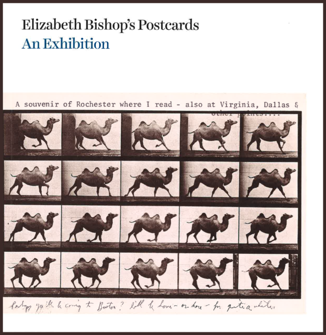 EB Catalogue cover, Vassar